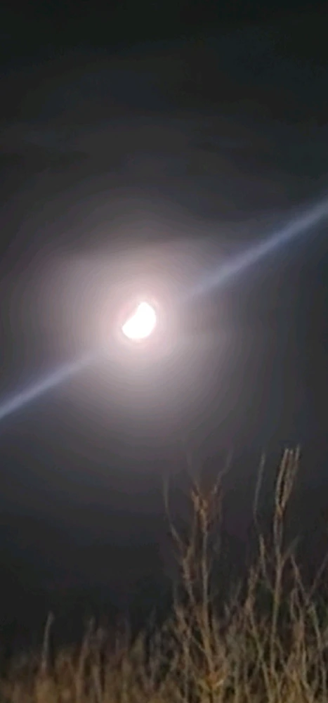 Image uploaded by Tor Helge