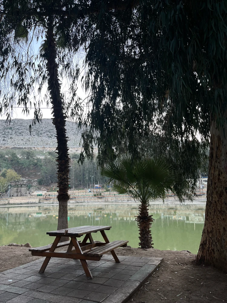 Image uploaded by Mert