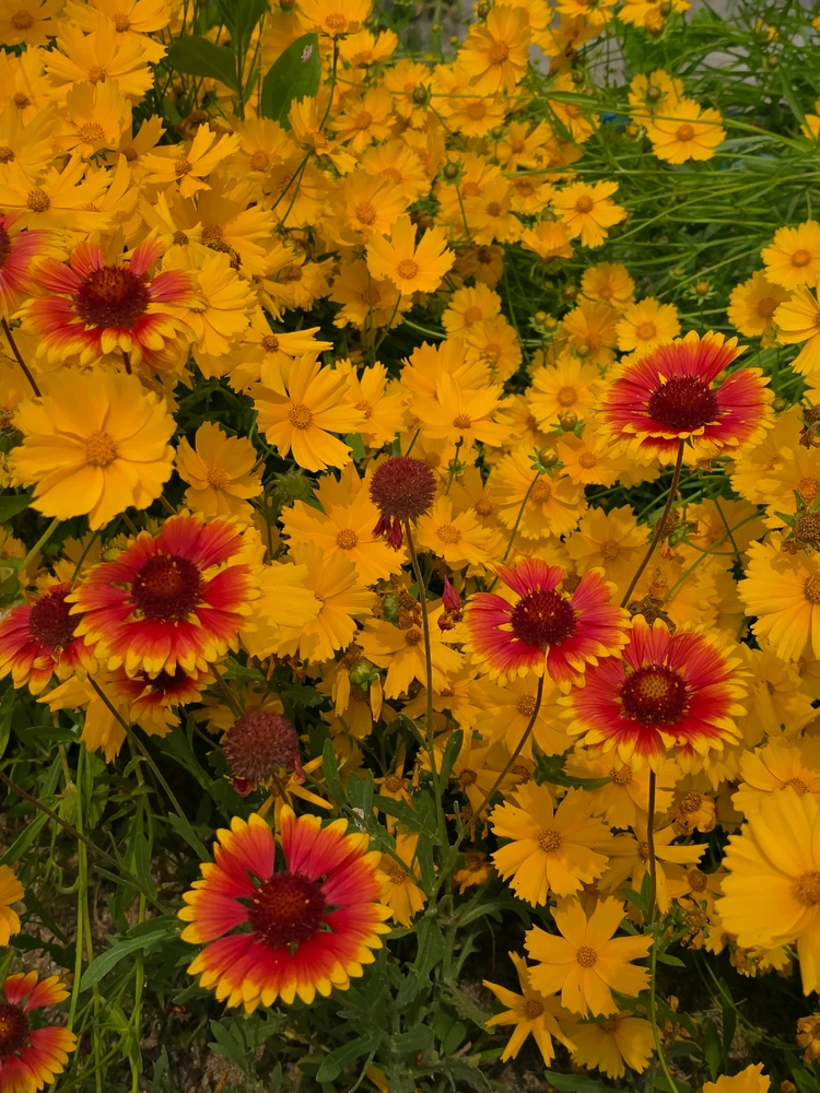 GIF uploaded by Antonette