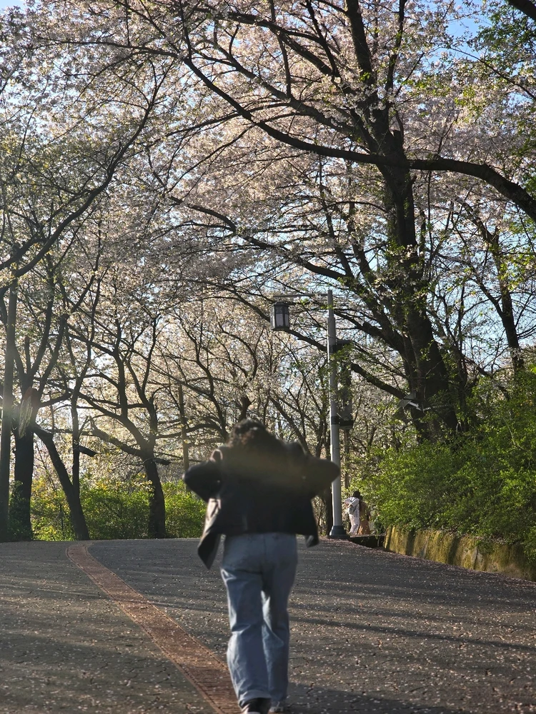 GIF uploaded by Antonette