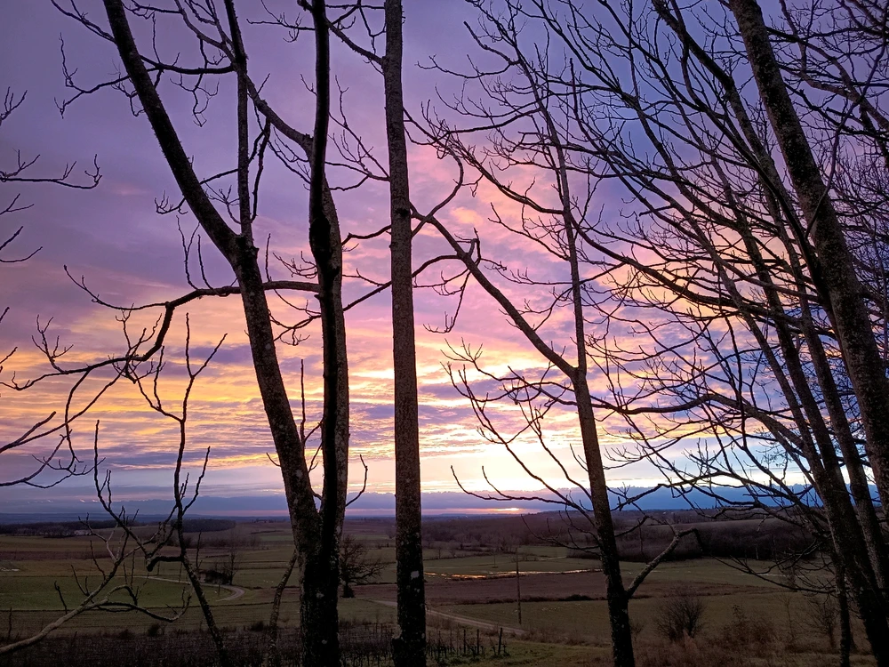 Image ajoutée par Marie