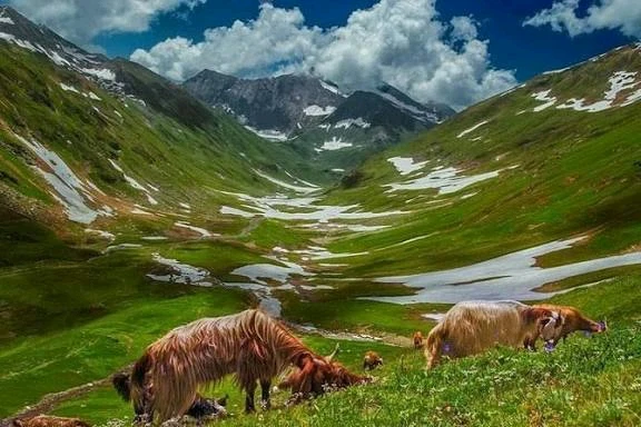 GIF uploaded by Zaidi