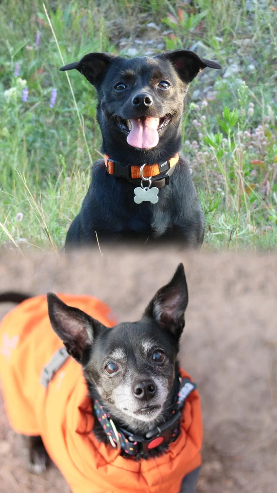 GIF dodany przez Natalia