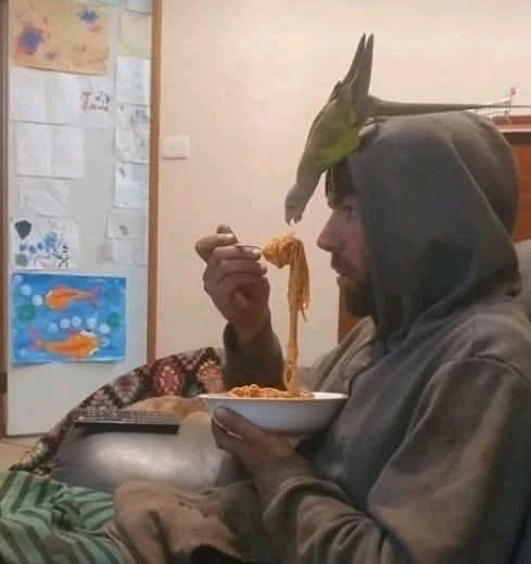 GIF dodany przez Dawid