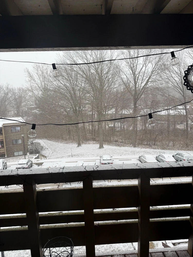 Image uploaded by Breeanna