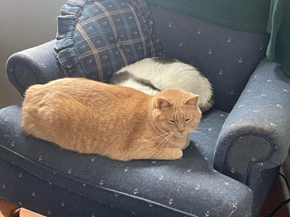 GIF uploaded by Robbie