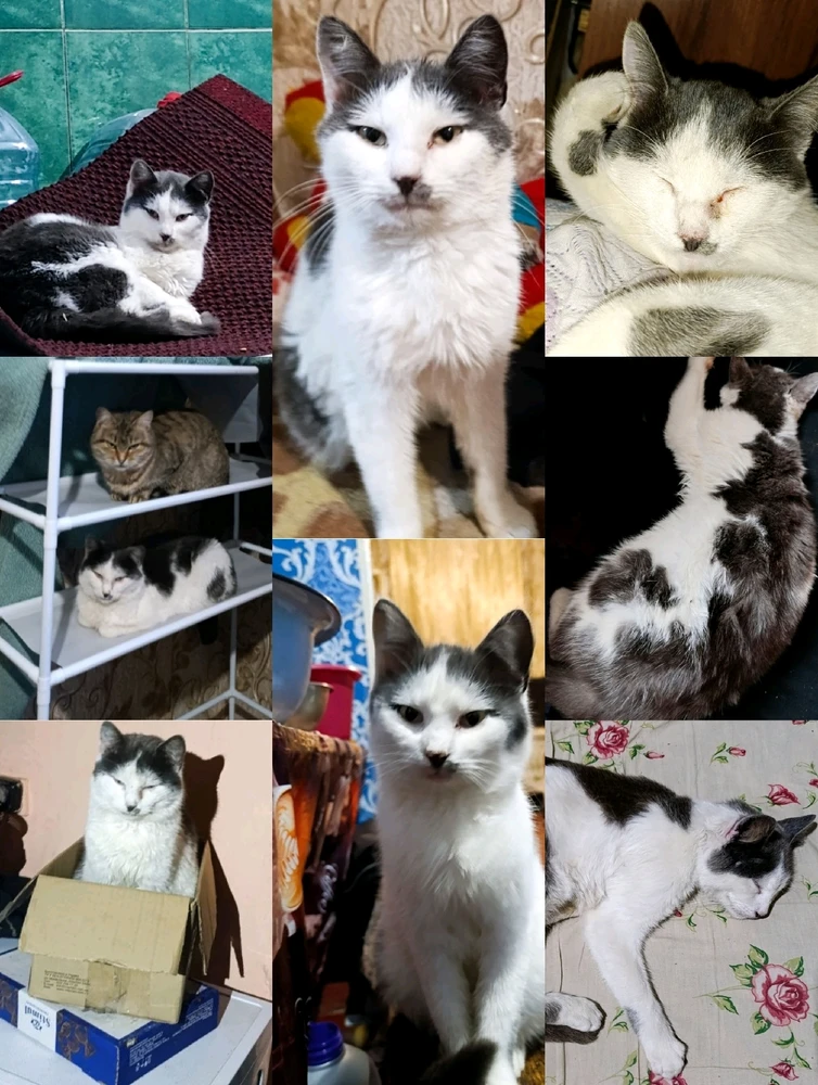 Image uploaded by Karina