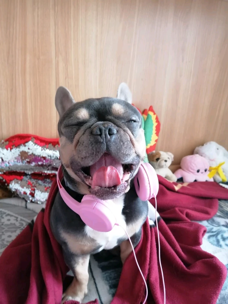 GIF caricata da Chiara