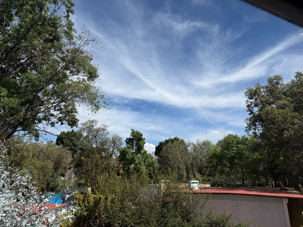 GIF subido por Oscar