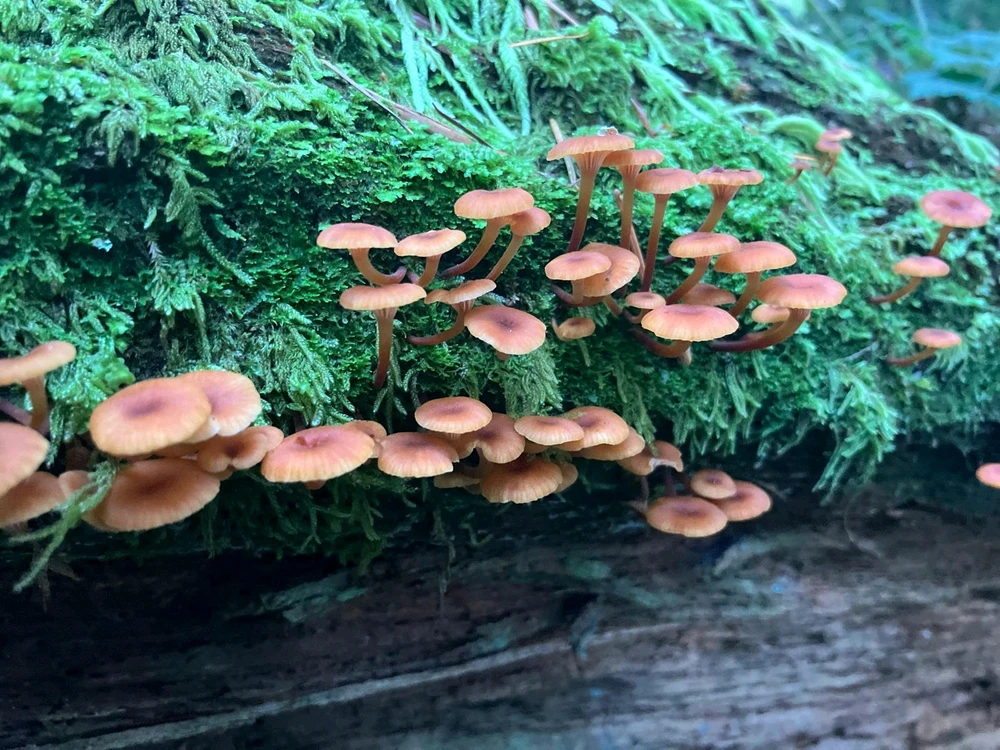 GIF diunggah dening Eddie