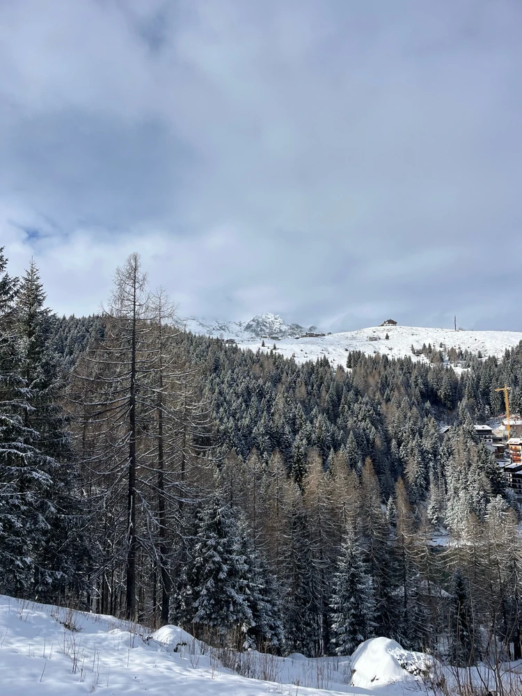 Immagine caricata da Marti