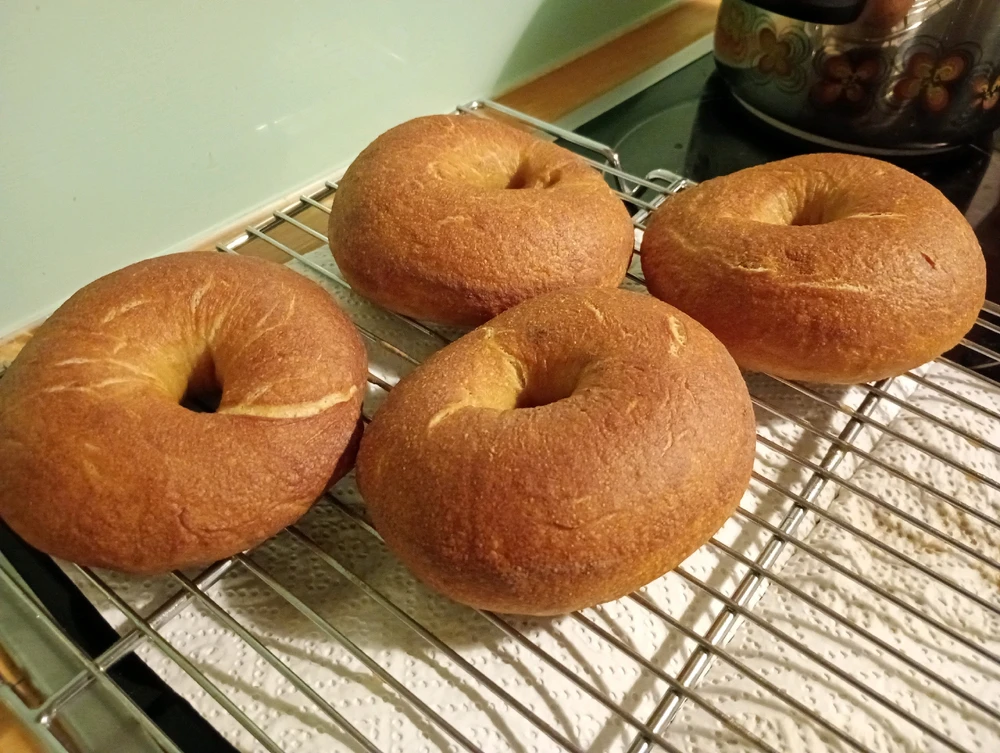 Image uploaded by Nicki