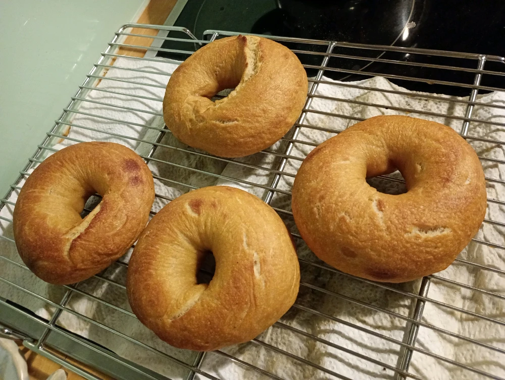 Image uploaded by Nicki