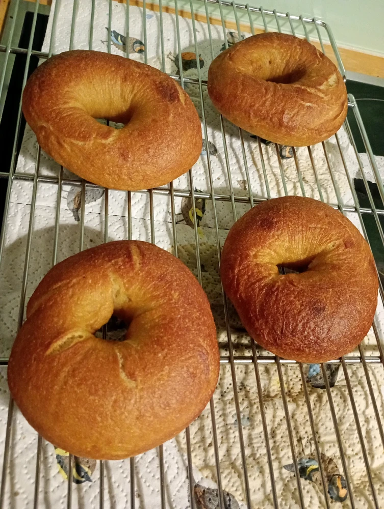 Image uploaded by Nicki