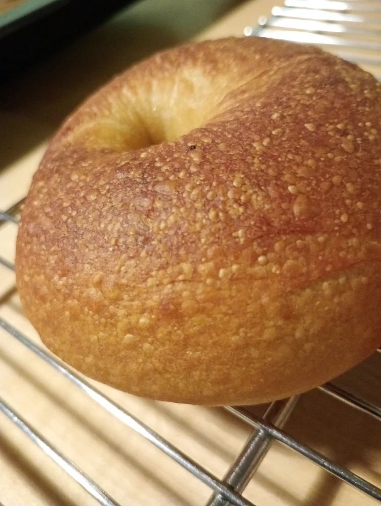 Image uploaded by Nicki