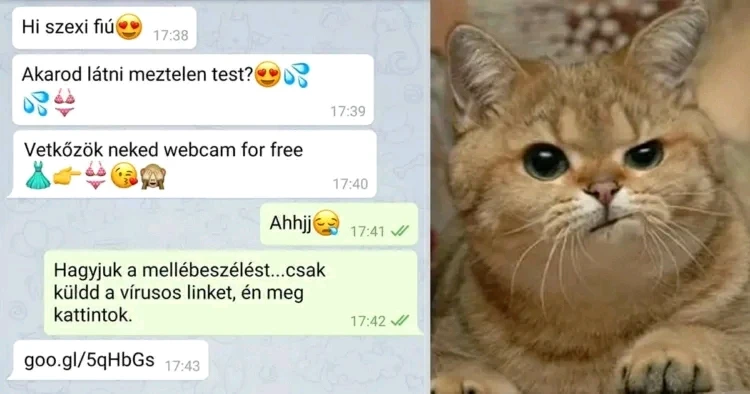 Máté által feltöltött GIF