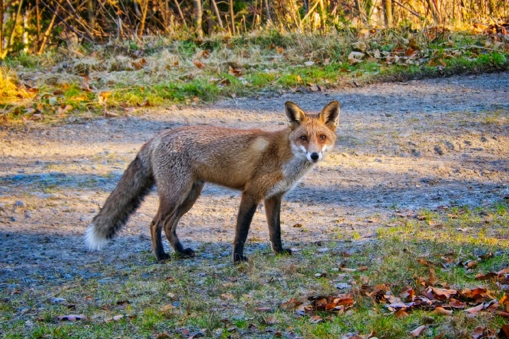 GIF uploaded by Zofia