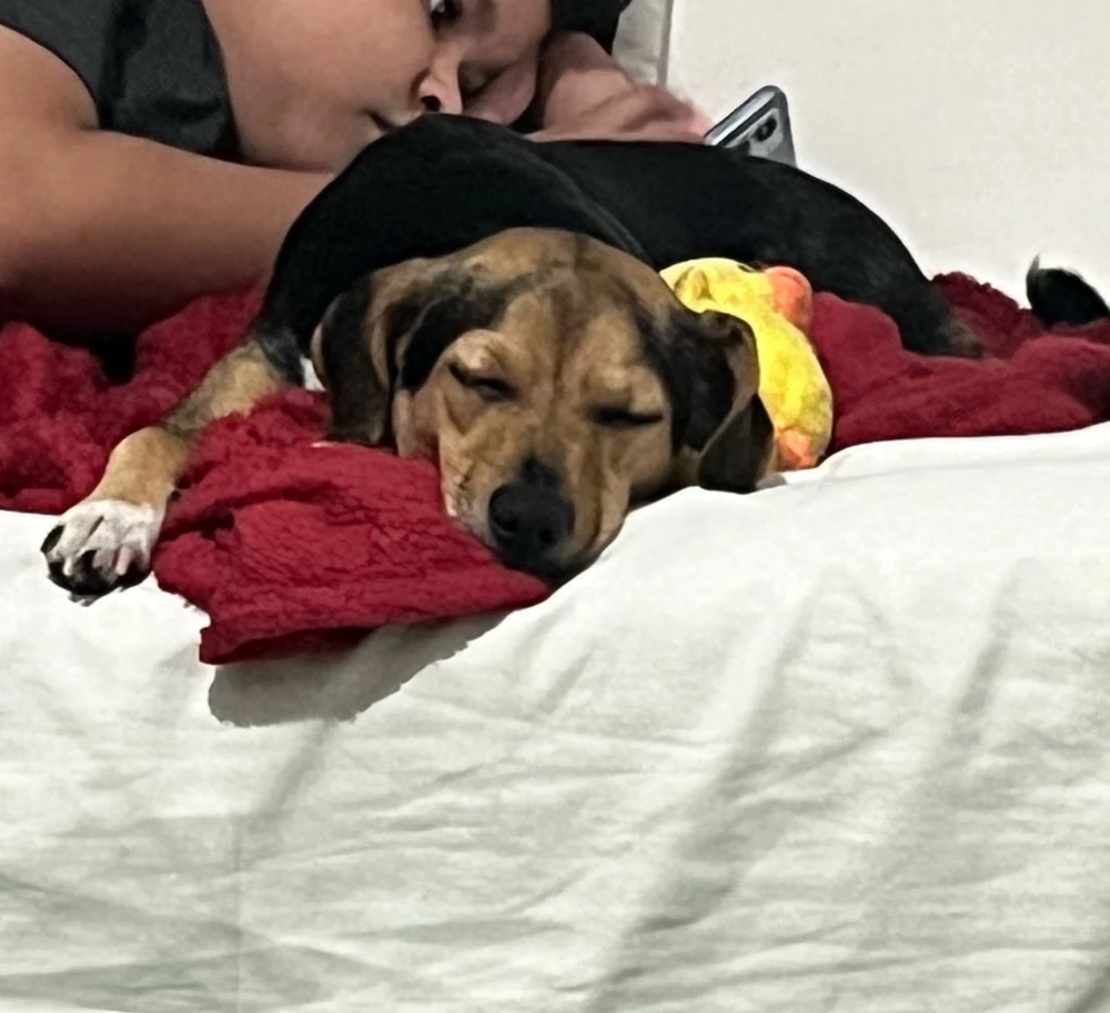 Imagem enviada por Larissa