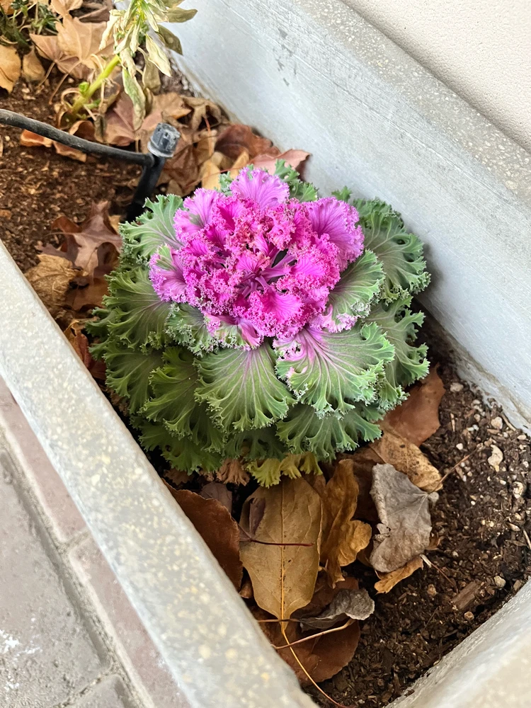 GIF uploaded by Alanna