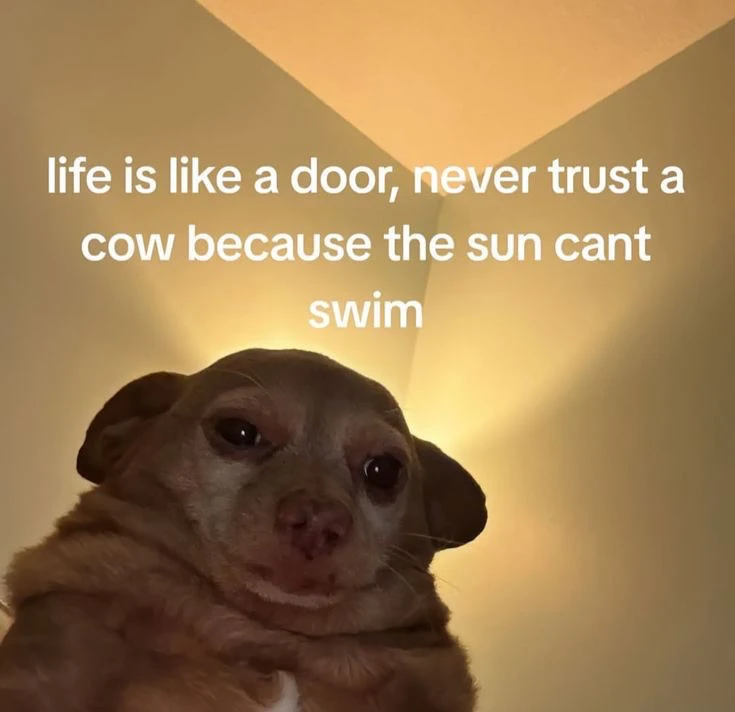 GIF uploaded by Sarah