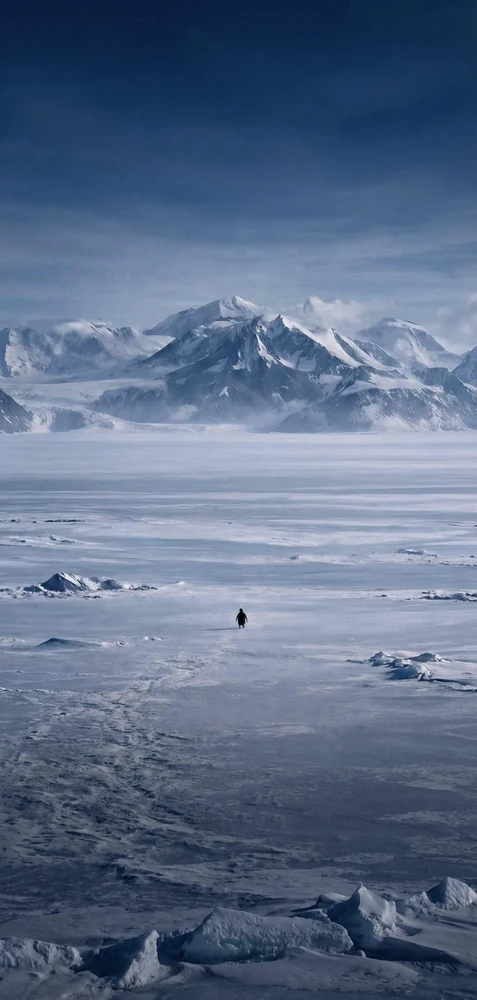 GIF uploaded by Carlos