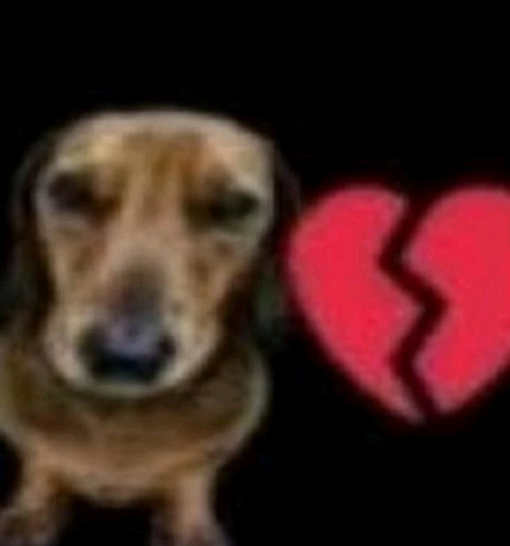 Imagen subida por Alexis