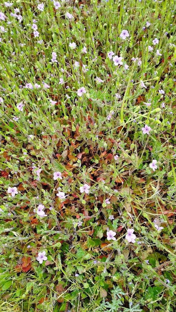 GIF uploaded by Crissy