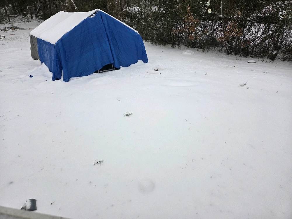 Image uploaded by Jordan