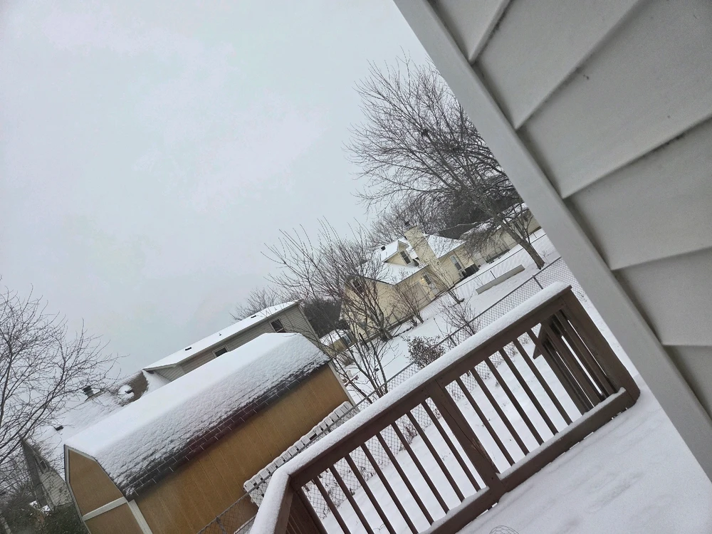 Image uploaded by Jordan