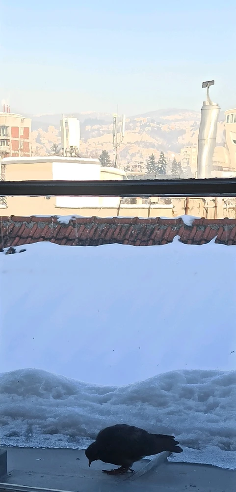 Gambar diunggah oleh Eldo Bosnali