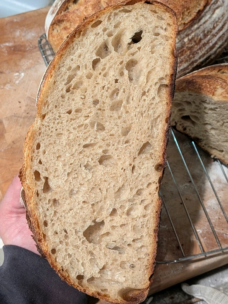 Image uploaded by Donn