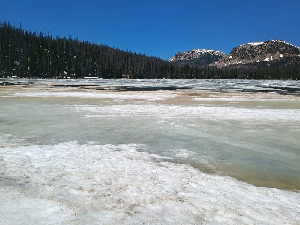 Image uploaded by Auzzy