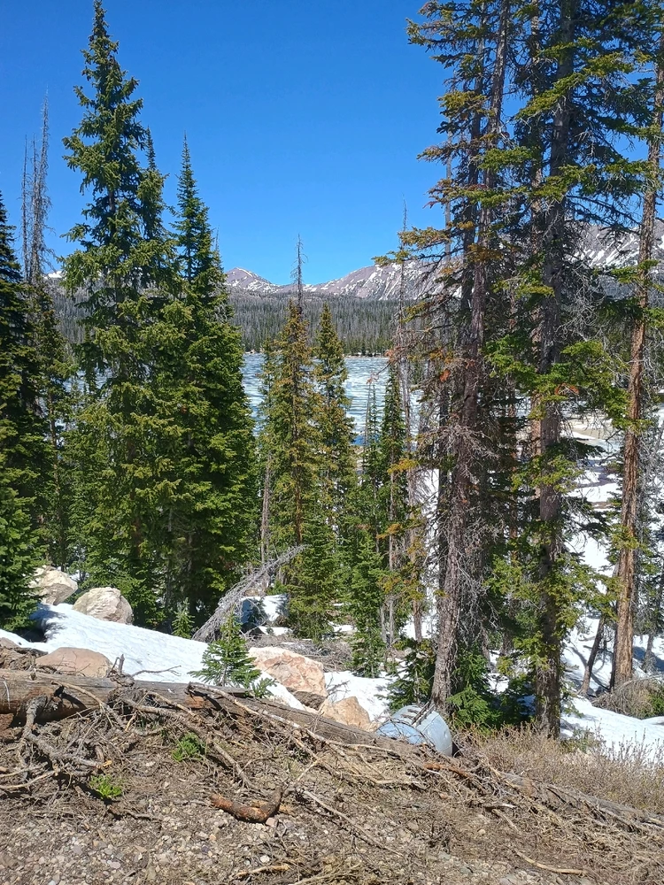 Image uploaded by Auzzy