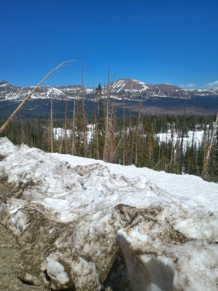 Image uploaded by Auzzy