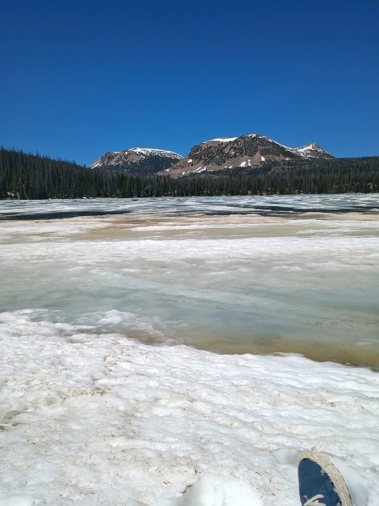 Image uploaded by Auzzy