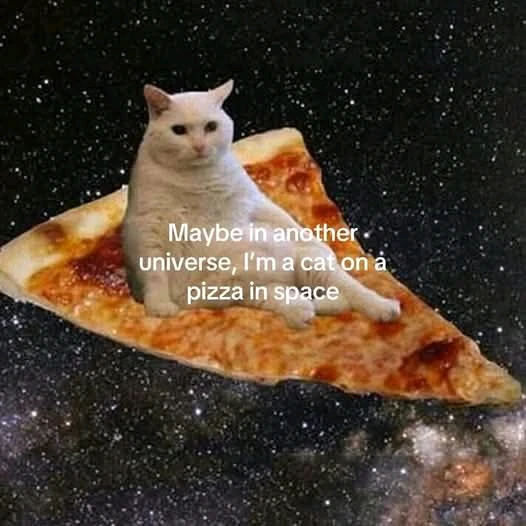 GIF uploaded by Jessica rabbit 🤓🎉