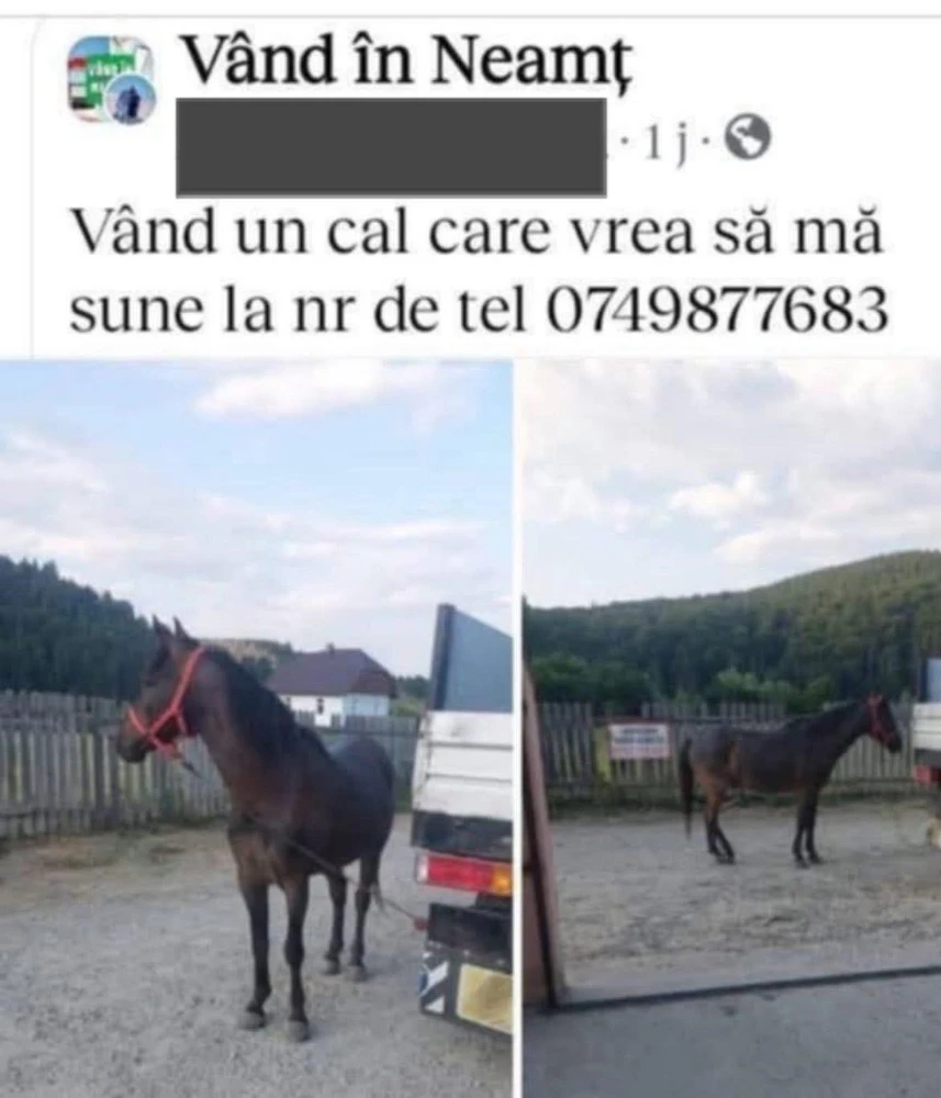 GIF încărcat de 7!B0R