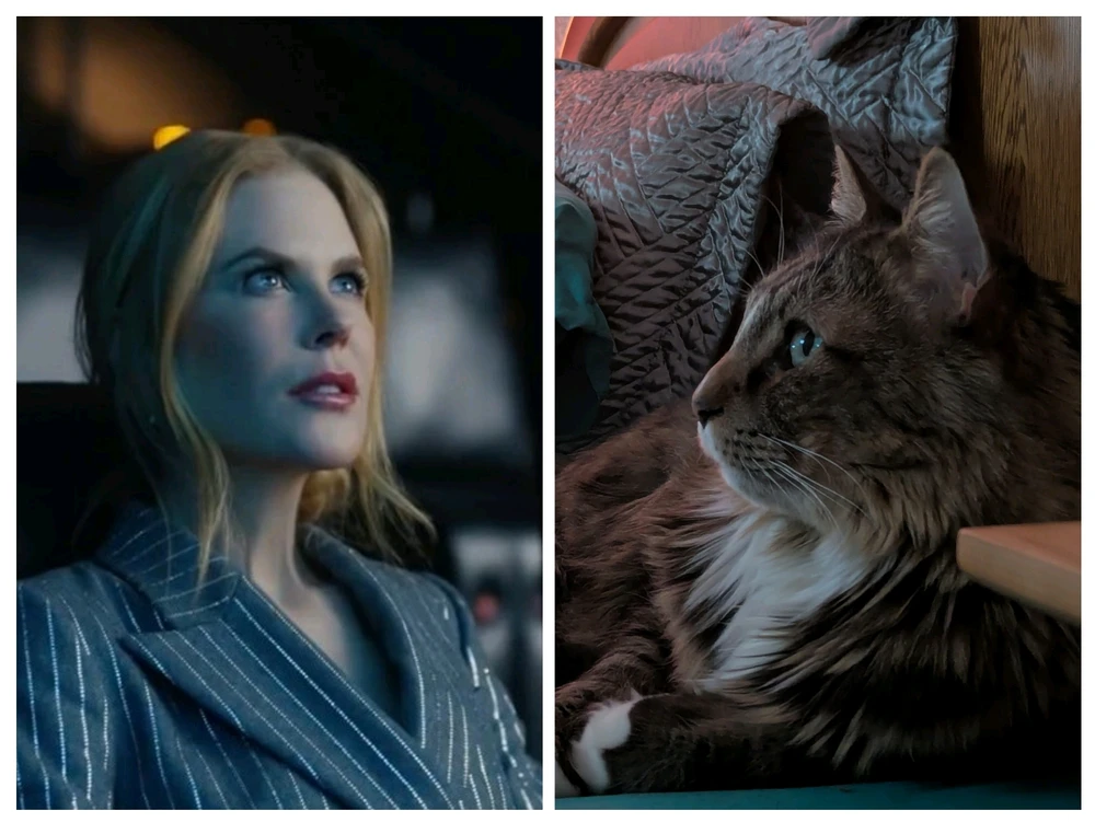 GIF uploaded by Lily