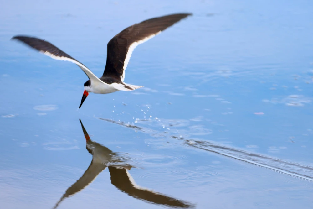 GIF uploaded by Sherlock