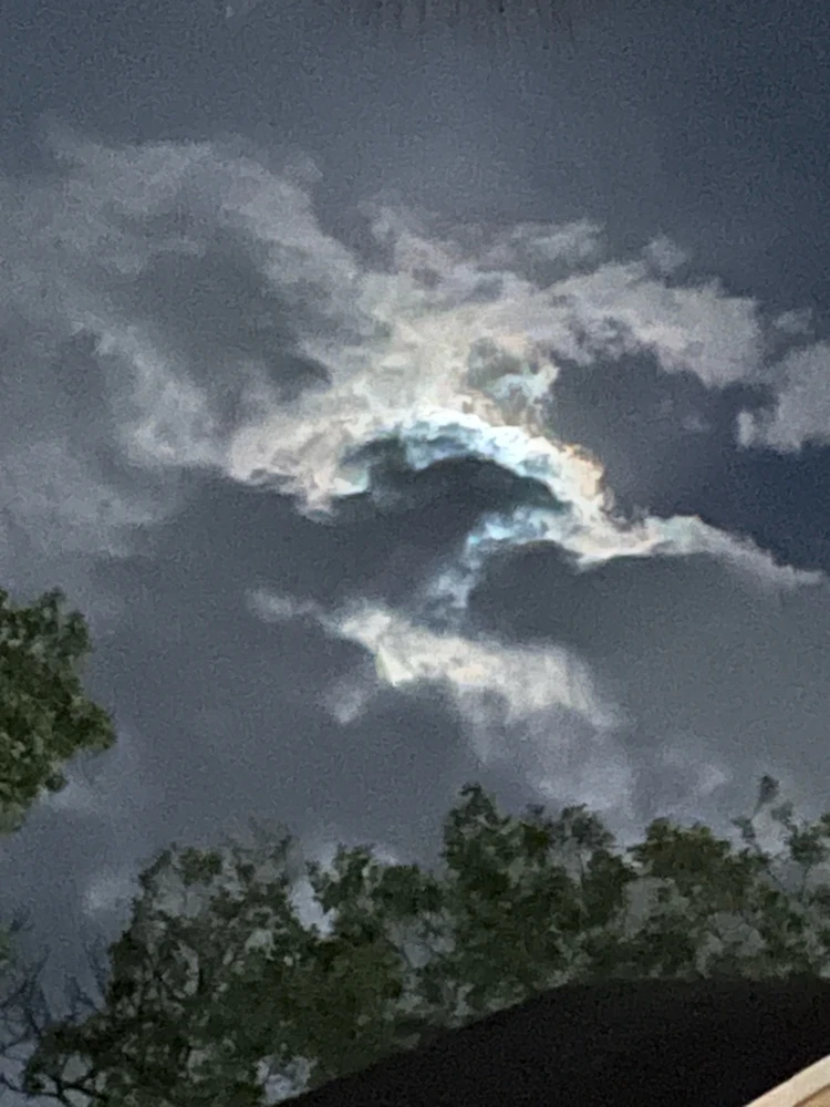 Image uploaded by Kevin