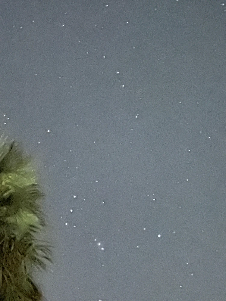 Image uploaded by Kevin