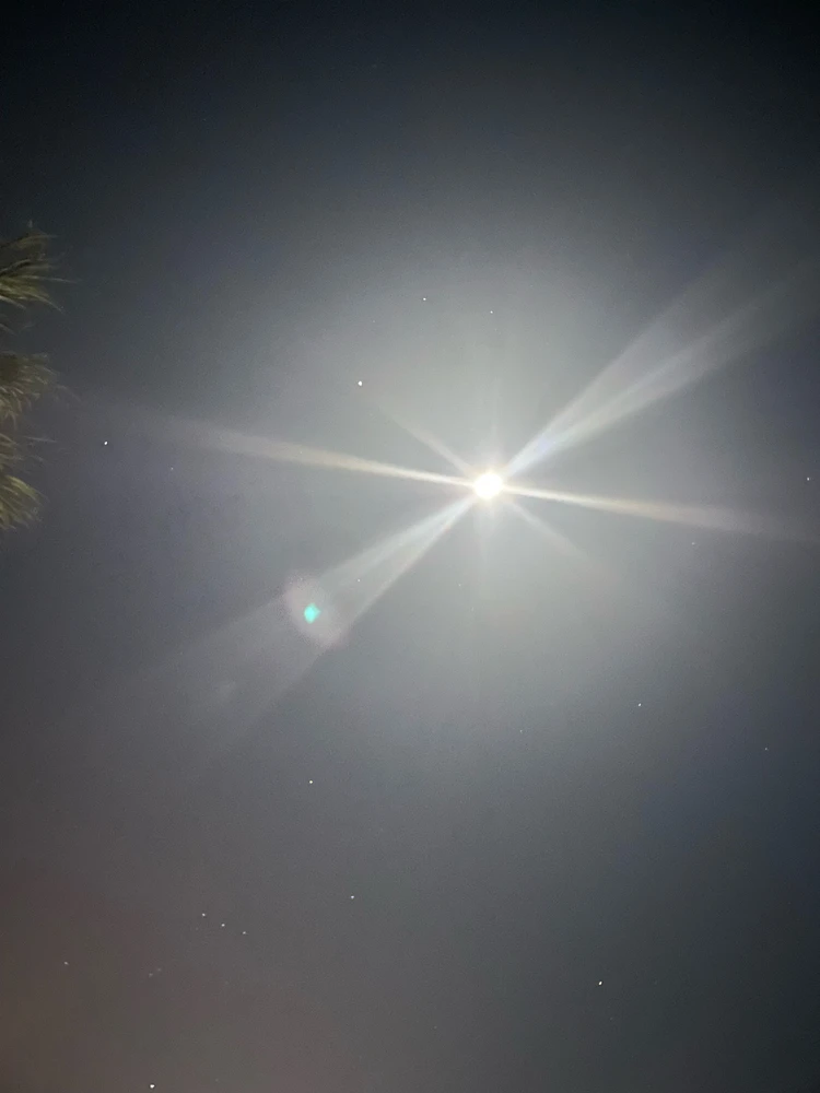 Image uploaded by Kevin