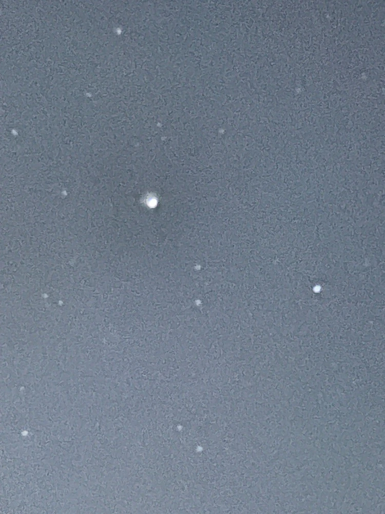 Image uploaded by Kevin