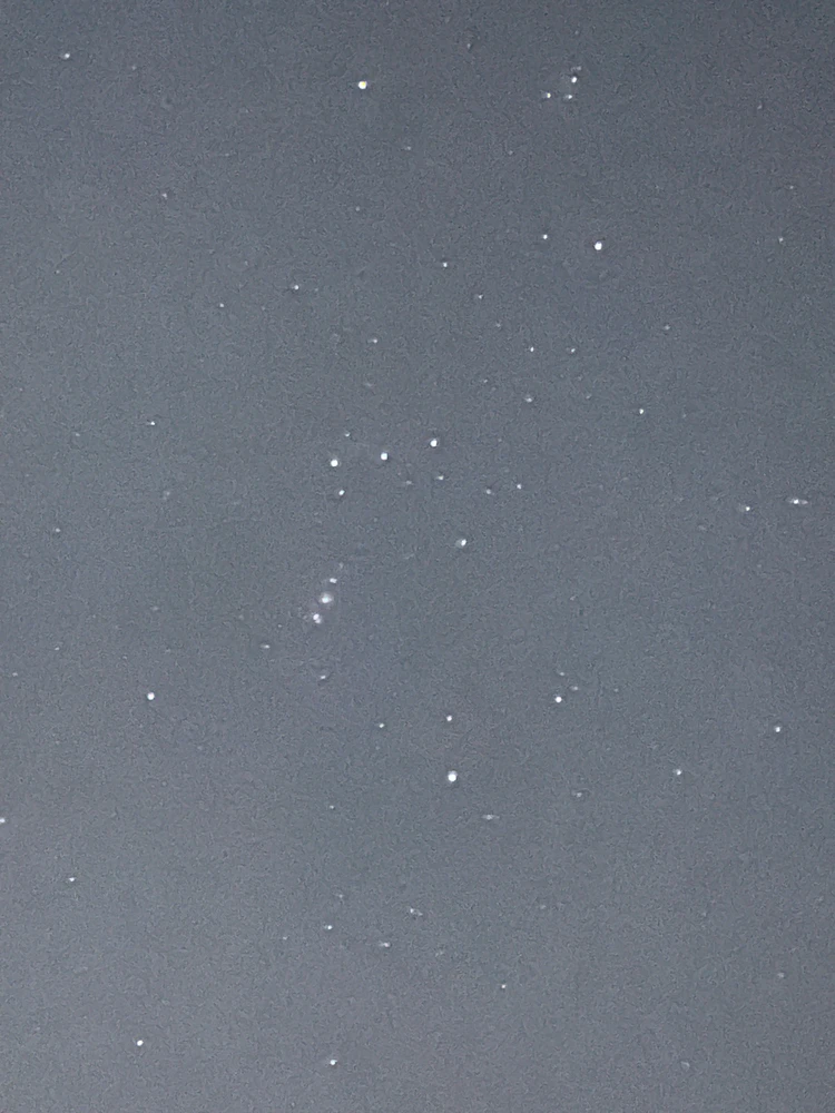 Image uploaded by Kevin