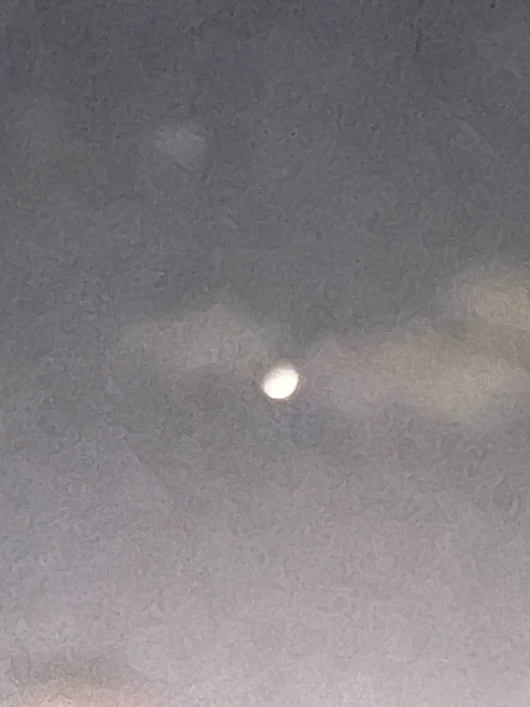 Image uploaded by Kevin