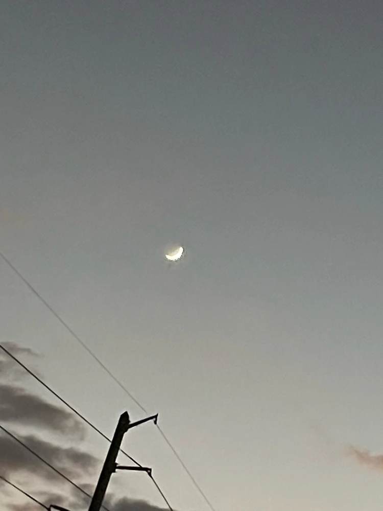 Image uploaded by Kevin