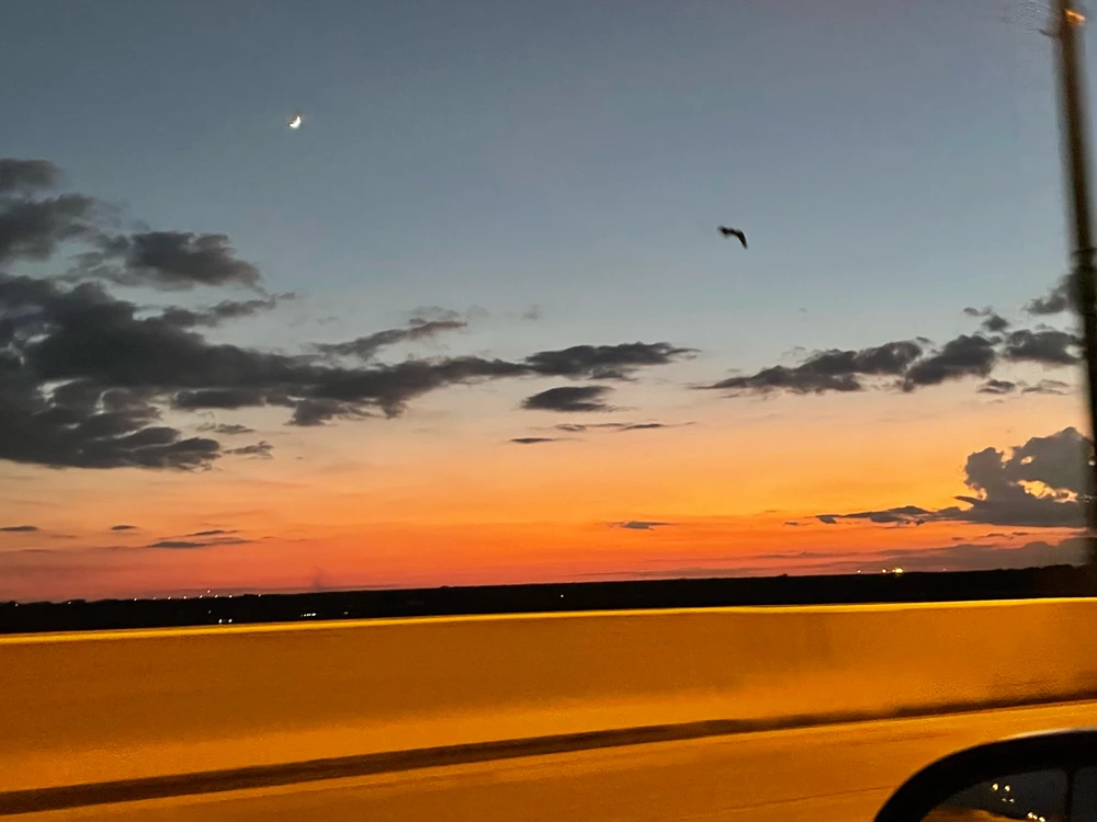 Image uploaded by Kevin