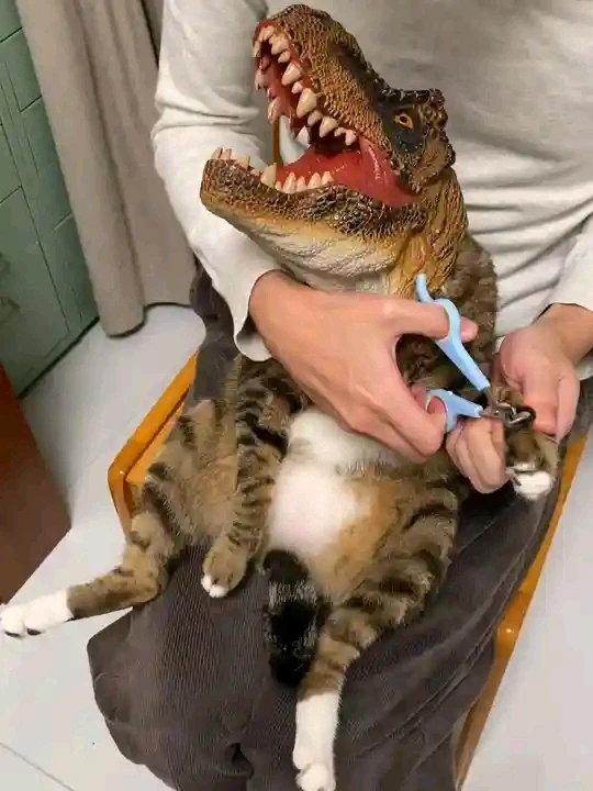 GIF uploaded by Dragoness