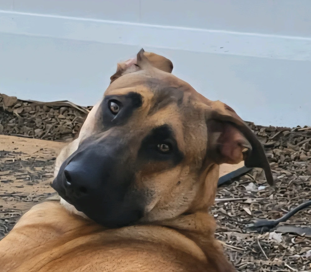 GIF uploaded by John