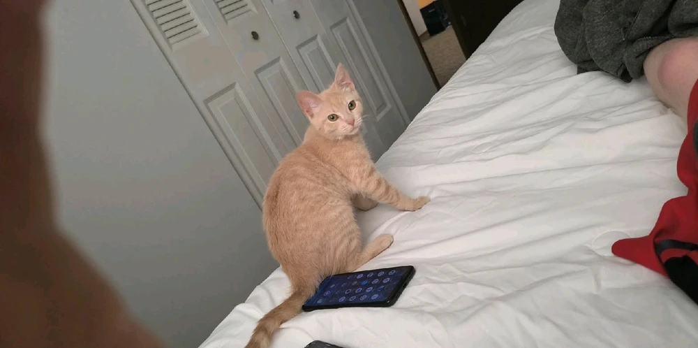 GIF uploaded by Austin